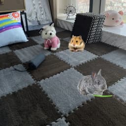 4/10Pcs Rabbit Guinea Pig Cage Liner Small Pet Items Waterproof Anti Slip Bedding Mat Highly Absorbent Pee Pad For Pet SleepMat