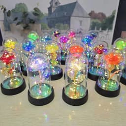 1pc Hot LED Enchanted Galaxy Rose Eternal Beauty Rose With Fairy Lights in Dome for Valentine's Day Wedding Party Mother's Day