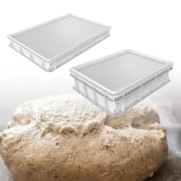 Dough Proofing Box Multipurpose Baking Tool with Lid Pizza Dough Containers for Household Restaurant Refrigerator Pies Bread