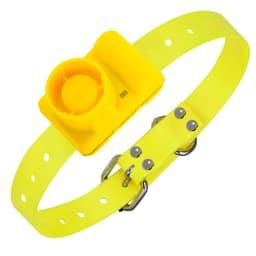 Rechargeable Hunting Dog Beeper Collars Waterproof Dog Training Collar Built-in Beeper Sound Pet Electric Collar Beep Clicker
