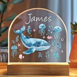 Personalized Night Light Customized Christmas Gift Gift for Birthday Girl Daughter Boy Him Baby Shower Dad Mom Her Boyfriend