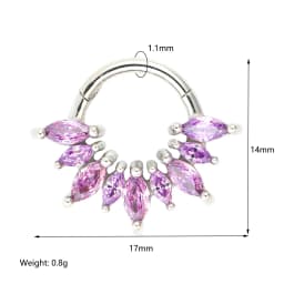 1/4 Pcs 316 Stainless Steel Closed Hinge Inlaid Purple, Pink, White, Orange 5A Zircon Pierced Nose Ring Earrings