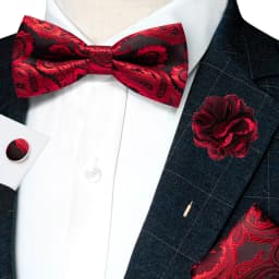 Classic Mens Bow Tie Brown Jacquard Paisley Bowtie Hanky Cufflinks Brooch Set Wedding party Butterfly Knot Gift Man Accessories