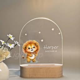 Personalized Children Animal Lamp Custom First Name 3D Night Light For Baby Kids Bedroom Home Decoration Birthday Christmas Gift