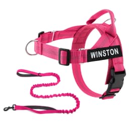 Custom Name No Pull Dog Harness Elastic Buffer Leash Set Adjustable Reflective Nylon Walking Lead for Small Medium Large Dogs