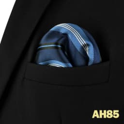 Luxury Mens Pocket Square Handkerchief Multiple Designs Classic Suit Hanky Large Striped Gentlemen Wedding Party Gift for Men