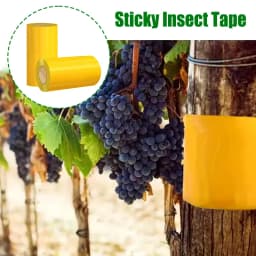 Yellow Insect Barrier Tape for Trees – Strong Adhesive, Double-Sided Protection Against Moths, Ants & Crawling Insects