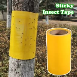 Yellow Insect Barrier Tape for Trees – Strong Adhesive, Double-Sided Protection Against Moths, Ants & Crawling Insects