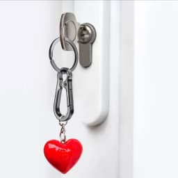 4 PCS Stainless Steel Carabiner Clip Keychain Metal Key Rings Keyring Key Holder Clips Hook Holder Organizer for Car Keys Finder