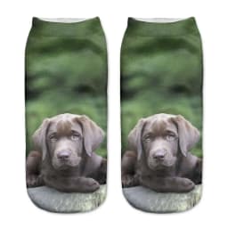 Hot Sale 3D Digital Printed Chow Dog Women Socks Unisex Fashion Cute Short Sock Women Low Anklet Print Cute Dog Sock 2022