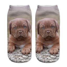 Hot Sale 3D Digital Printed Chow Dog Women Socks Unisex Fashion Cute Short Sock Women Low Anklet Print Cute Dog Sock 2022