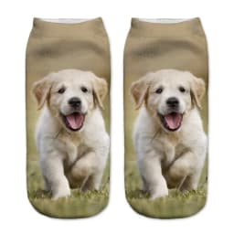 Hot Sale 3D Digital Printed Chow Dog Women Socks Unisex Fashion Cute Short Sock Women Low Anklet Print Cute Dog Sock 2022