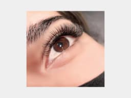 GAHAMACA W-Shape Eyelash Extensions C/D/L/LU Curl Premade Volume Fans Soft Natural False Eyelashes For Professional Eye Makeup
