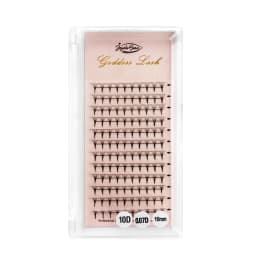 Goddess 3D/5D/6D/10D Premade Fan Eyelash Extensions Natural Soft Russian Volume Lashes Faux Mink Individual Lash Extensions