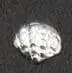 100Pcs Sea Seires Nail Art Rhinestones Shell Starfish Seahorse Multishapes Gold Silver Metal Rivet Charms For Acrylic Nails