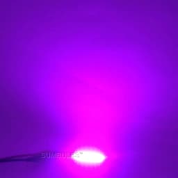 DC 12V 60*15mm COB LED Bar 2W Diode Lighting Strip Red Blue Pink Green Yellow White Color for DIY Lamp