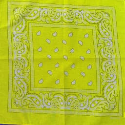 Bright Color Women Foulard Hip Hop Cotton Square Scarf Bandana Headband Scarf Cashew Gifts For Men/Boys/Girls