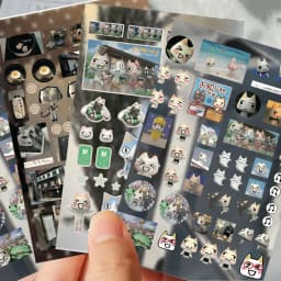 8PCS Cartoon Doro Cat Cute Stickers Inoue Toro Sticker Luggage Suitcase Skateboard Phone Hand Account Graffiti Decals Gift Toy