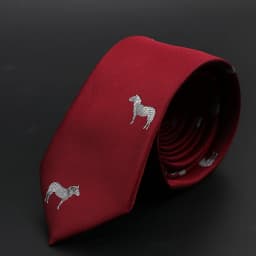 New Men Ties Solid Color Stripe Print Floral 6cm Jacquard Business Neckties Narrow Skinny Tie Wedding Prom Daily Wear Accessory