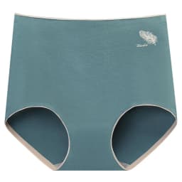 Women's Cotton Underwear Sexy Solid Color Panties Fashion Comfort Briefs Plus Size High Waist Seamless Soft Panties Lingerie