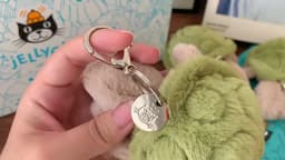 New JC label cute girl bag charm tortoise plush toy keychain Kawaii plush toy perfect as a birthday or Christmas gift get