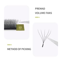 GLAMLASH 4D5D W Shape Lash Clover Bloom Handmade Premade Volume Fans W Eyelash Extensions Natural Soft Individual Lashes