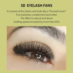GLAMLASH 4D5D W Shape Lash Clover Bloom Handmade Premade Volume Fans W Eyelash Extensions Natural Soft Individual Lashes