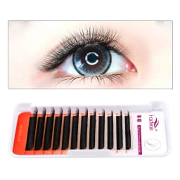 FADVAN 4D W Shape Eyelash Extension 4D Premade Volume Fans W Style False Eyelashes Natural Makeup Tools