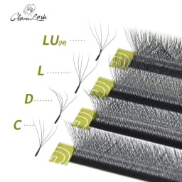 GLAMLASH 4D5D W Style Flower Lash Premade Volume Fans Eyelash Extension Natural Soft Light Lash W Shaped