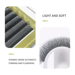 GLAMLASH 4D5D W Style Flower Lash Premade Volume Fans Eyelash Extension Natural Soft Light Lash W Shaped