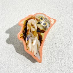 New Irregular Geometric Cherry Pineapple Cat Printed Hair Clip Claw For Women Plastic Fruits Barrette Party Hair Accessories