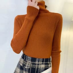 Heliar Women Fall Turtleneck Sweater Knitted Soft Pullovers Cashmere Jumpers Basic Soft Sweaters For Women 2026 Autumn Winter