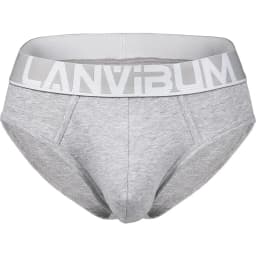 Mens Underwear New Brand Antibacterial Brief Soft Cotton Solid Male Stretch U Convex Pouch Solid Cuecas Shorts Slips Underpants