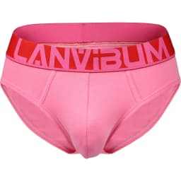 Mens Underwear New Brand Antibacterial Brief Soft Cotton Solid Male Stretch U Convex Pouch Solid Cuecas Shorts Slips Underpants