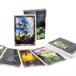 Real Talk Tarot Fortune Telling Divination Deck Game with 78 Cards & Guidebook Modern Illustrations Family Party Fun Board Game