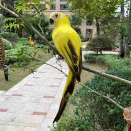 25/35cm Simulation Parrot Garden Decoration Creative Lawn Figurine Ornament Animal Bird Outdoor Garden Party Prop Decoration