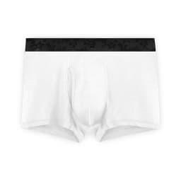 Men's Boxers Shorts Modal Underwear Man Panties Solid Breathable Bullet Separation Pouch Underpants Male Trunks Cueca Plus Size