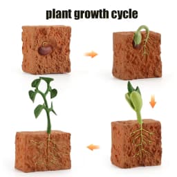 Animal Life Cycle Board Children Toys Montessori Teaching Aids Plant Animal Growth Cycle Model Set preschool cognitive Toys