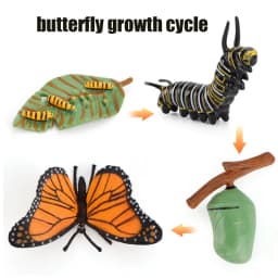 Animal Life Cycle Board Children Toys Montessori Teaching Aids Plant Animal Growth Cycle Model Set preschool cognitive Toys