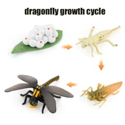 Animal Life Cycle Board Children Toys Montessori Teaching Aids Plant Animal Growth Cycle Model Set preschool cognitive Toys