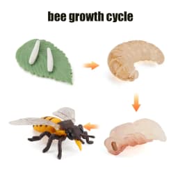 Animal Life Cycle Board Children Toys Montessori Teaching Aids Plant Animal Growth Cycle Model Set preschool cognitive Toys