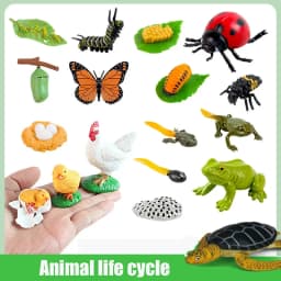 Animal Life Cycle Board Children Toys Montessori Teaching Aids Plant Animal Growth Cycle Model Set preschool cognitive Toys