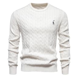AIOPESON Mens Giraffe Embroidery Cotton Sweaters Round Neck Classic Twist Patterned Pullover Knitted Sweater for Men