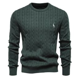 AIOPESON Mens Giraffe Embroidery Cotton Sweaters Round Neck Classic Twist Patterned Pullover Knitted Sweater for Men