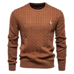 AIOPESON Mens Giraffe Embroidery Cotton Sweaters Round Neck Classic Twist Patterned Pullover Knitted Sweater for Men