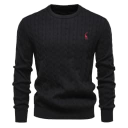 AIOPESON Mens Giraffe Embroidery Cotton Sweaters Round Neck Classic Twist Patterned Pullover Knitted Sweater for Men
