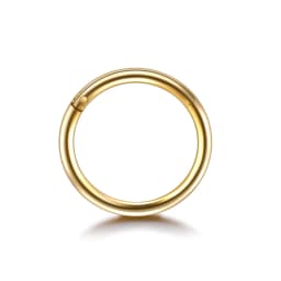 1PC 12G-20G Septum Piercing Surgical Steel Clicker Hinged Segment Ring Goth Nose Hoop Earrings Lip Ear Cartilage Helix Piercings