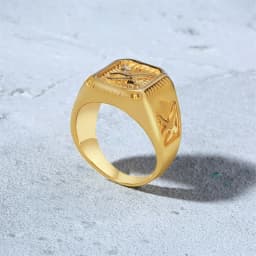 Bald Eagle Signet Ring For Men,Gold Plated Bird Stamp Bird Rings Stainless Steel Hawk Square Ring,Gift for Dad Son