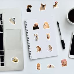 10/50/100pcs Funny Dog Stickers Cartoon Cute Decals Toy Stationery Guitar Phone Bicycle Laptop Luggage Car Graffiti Kids Sticker