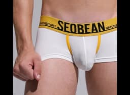 SEOBEAN Mesh Breathable Men's Boxers Sexy Underwear Boxer Shorts Men Underpants Boxershorts Male Panties Boxer for Man